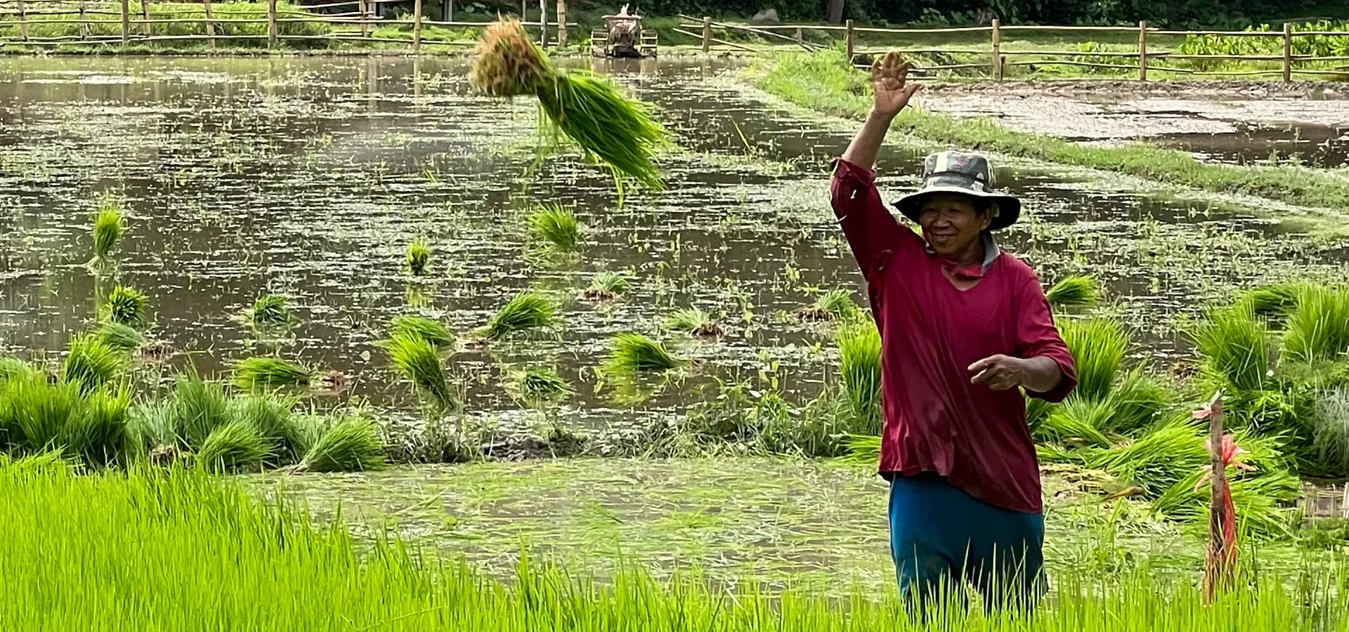 Hill tribe children supported by Tigerland Rice Farm community projects