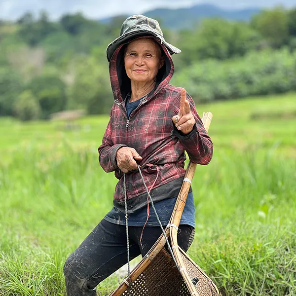 A guest working in the rice paddy at Tigerland Rice Farm