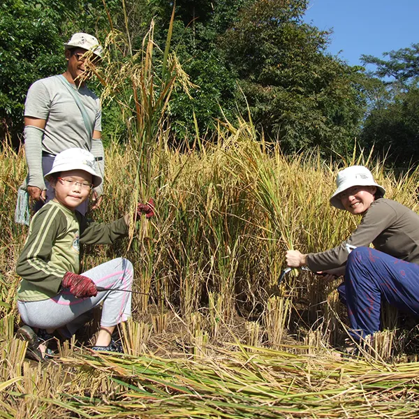Guests and family together at Tigerland Rice Farm