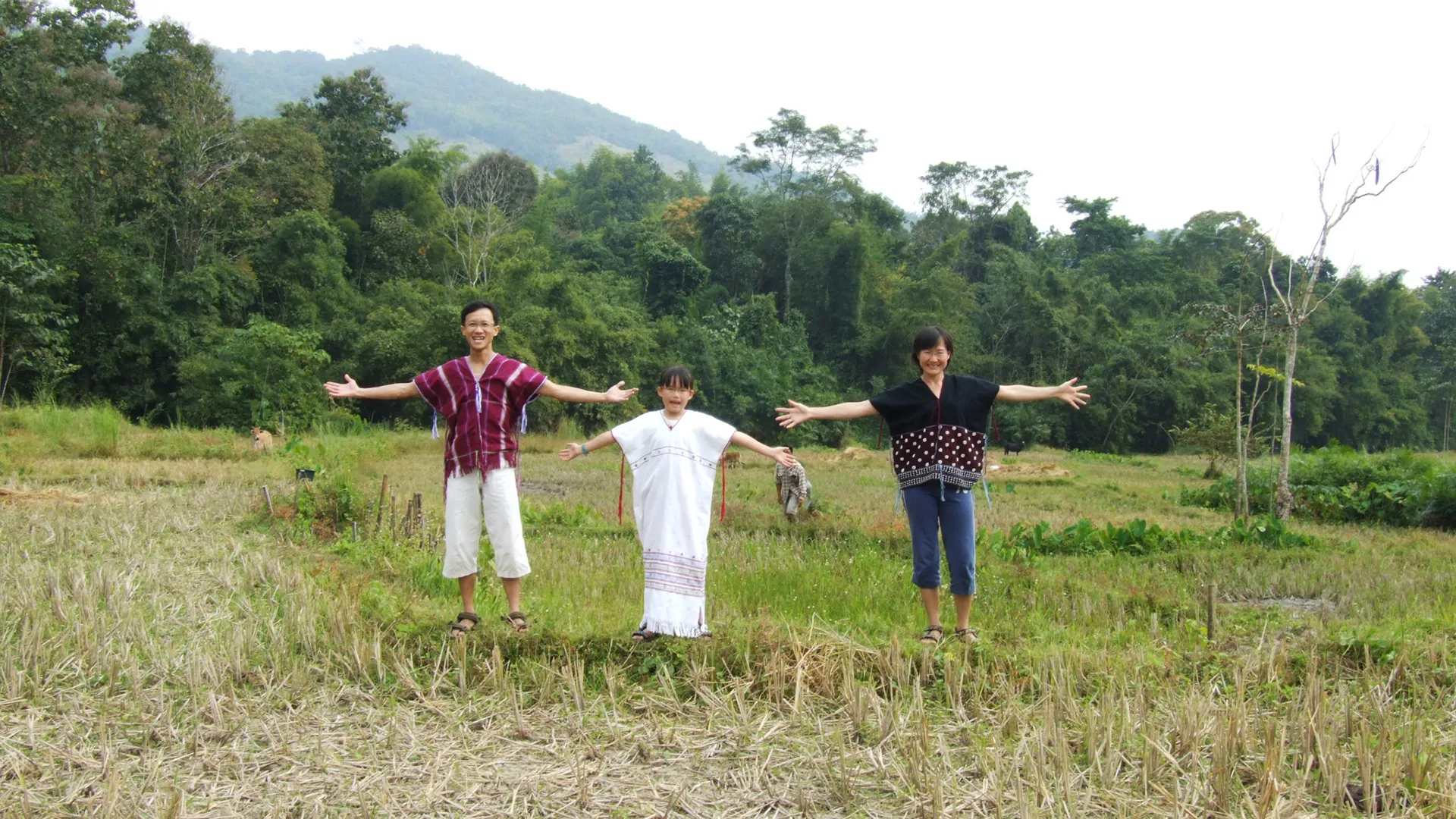 Terraced rice paddies at Tigerland Rice Farm in the hills of Chiang Rai