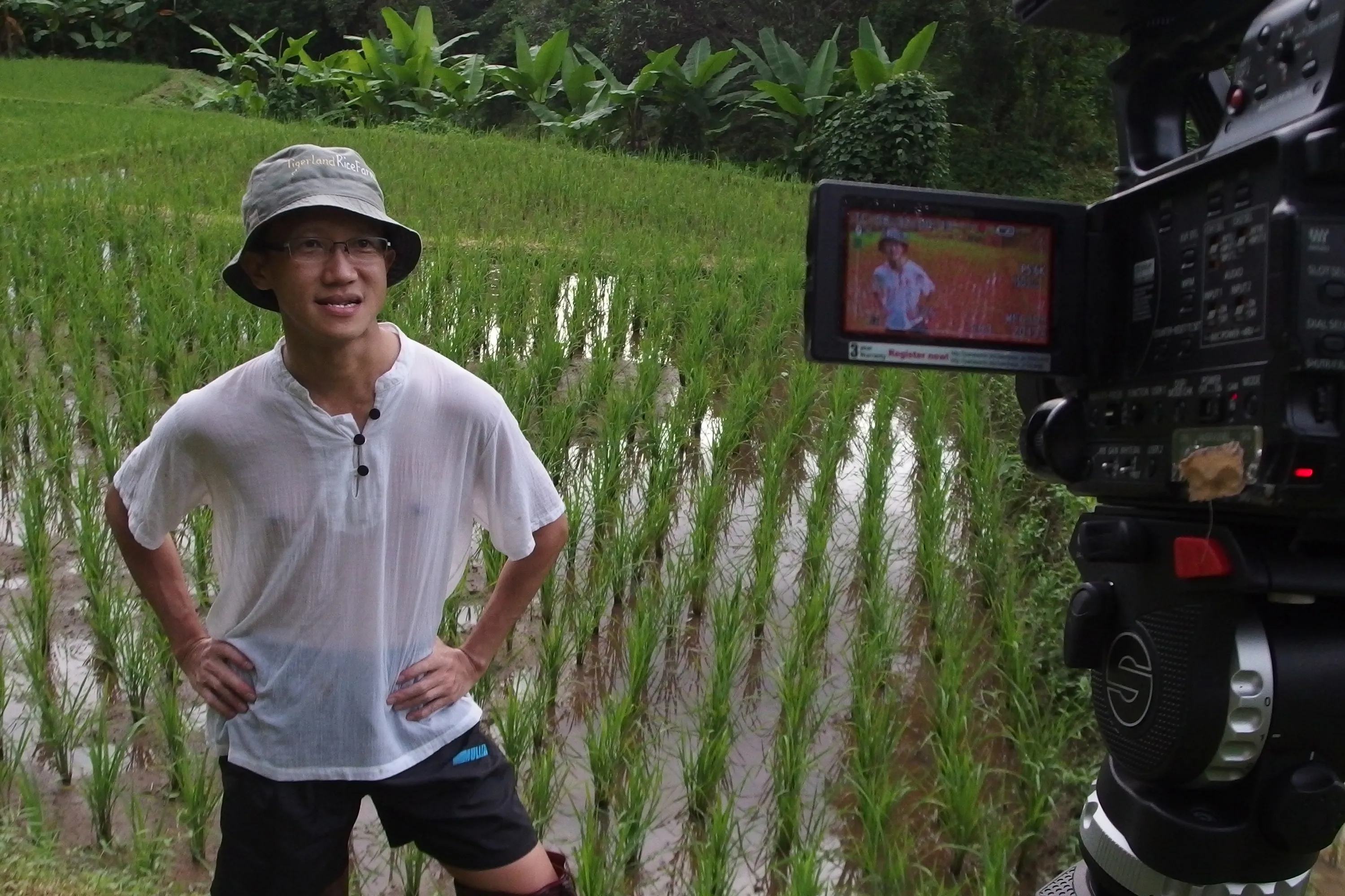 Alvin Yong featured in a Channel News Asia documentary about Tigerland Rice Farm