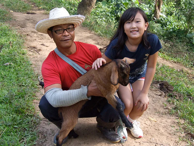 Animal husbandry and organic farming at Tigerland Rice Farm
